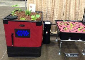 aquaponics farming business with 2 to 3 lacs investment