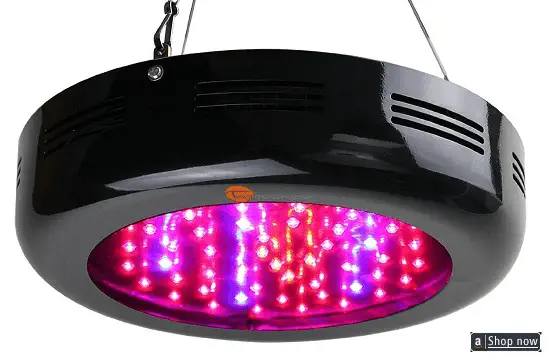 TaoTronics Hydroponic Led Grow Light Review - Hydroponics ...