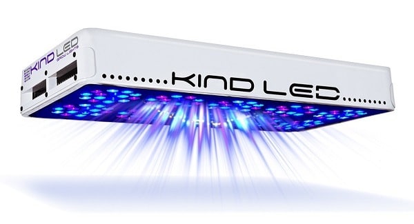 Kind Led Lights Review _ Kind K5 XL1000 LED Grow Light Review – GAXXY
