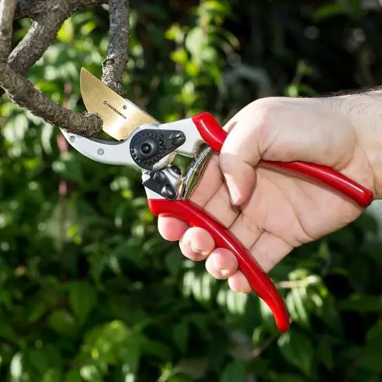 top pruning shears