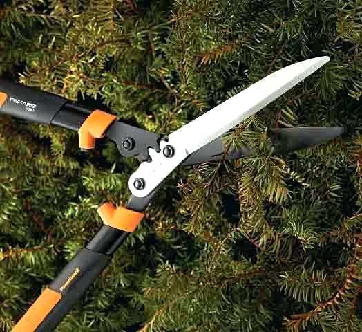 hedge shears corona HS