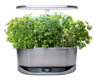 Best Indoor Garden Kit By AeroGarden | Farm Hydroponics